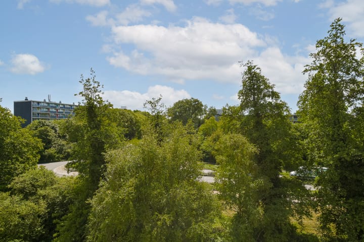 Foto 14 van Stadzicht 39