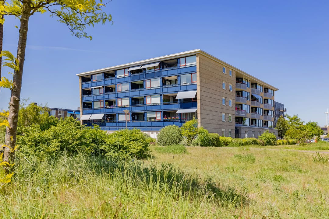 Foto 7 van Grahamstraat 153