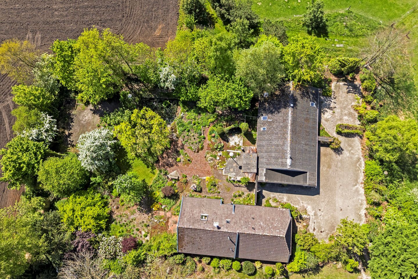 Foto 4 van Zwarte Dijk 44