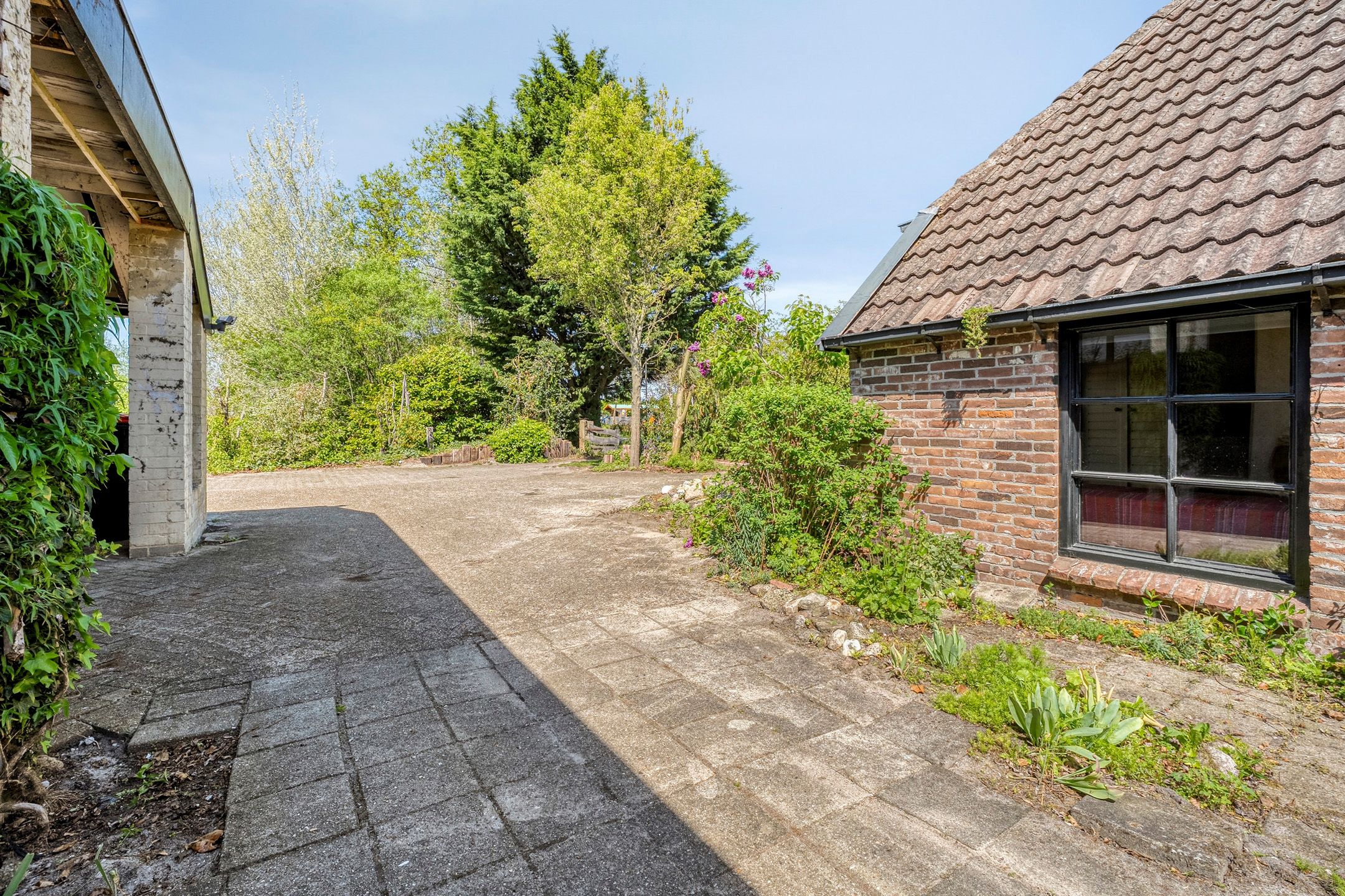 Foto 12 van Zwarte Dijk 44