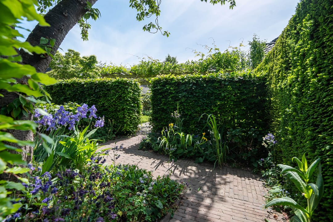 Foto 28 van Lijsterbeslaan 7