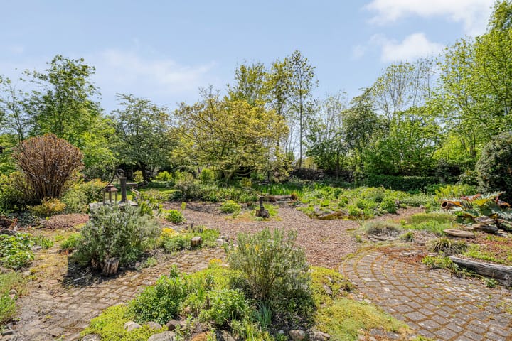 Foto 64 van Zwarte Dijk 44