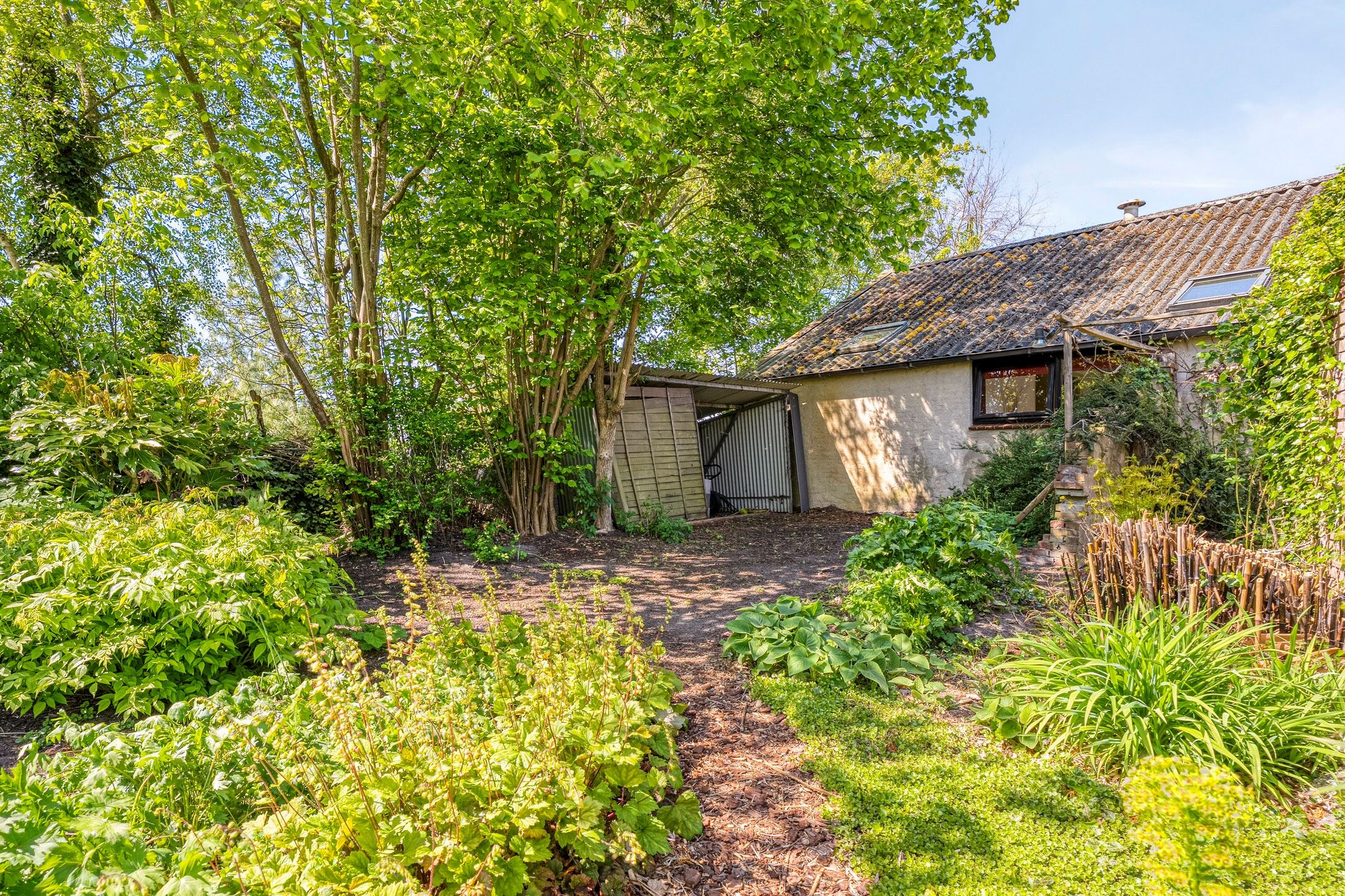 Foto 66 van Zwarte Dijk 44