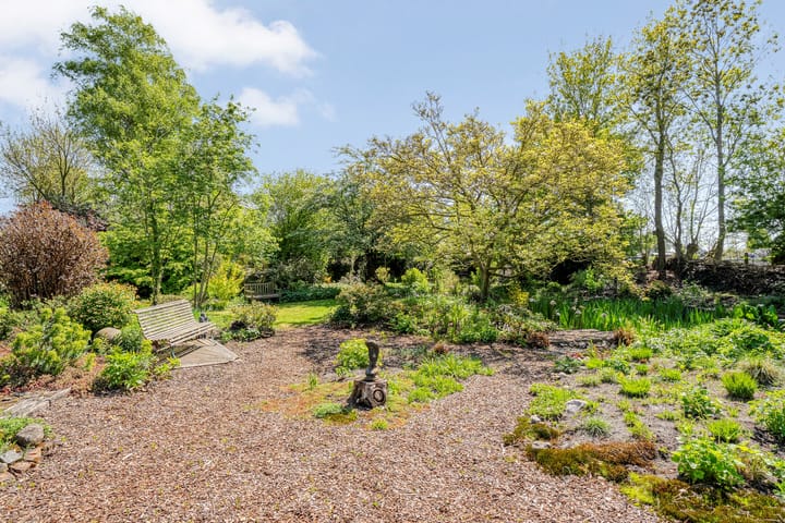 Foto 67 van Zwarte Dijk 44