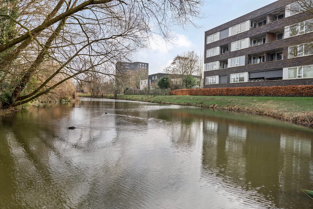 Photo 17 of Donkse Dreef 132