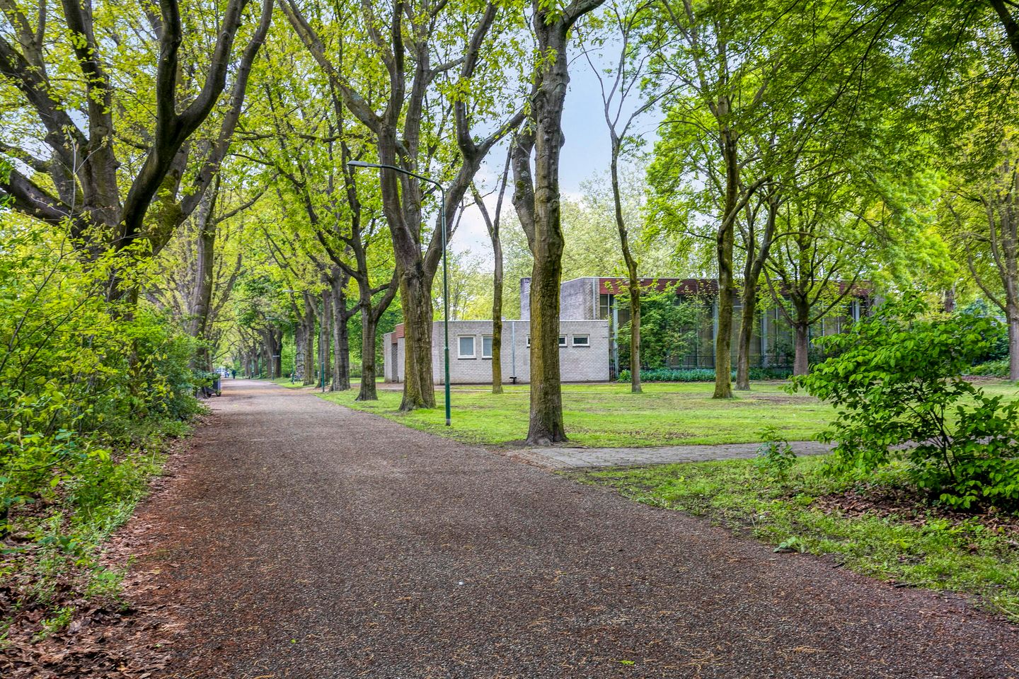 Foto 35 van Staringstraat 436