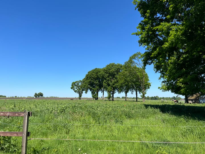 Foto 4 van Achteres kavel I