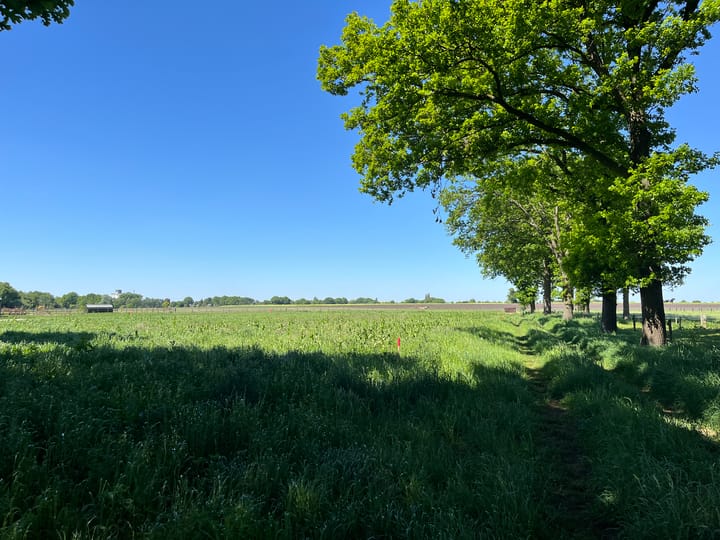 Photo 2 of Achteres kavel II