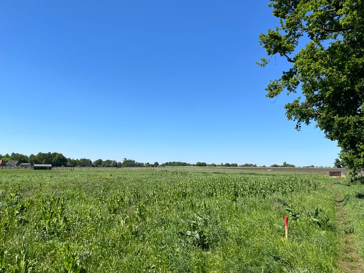 Photo 3 of Achteres kavel II