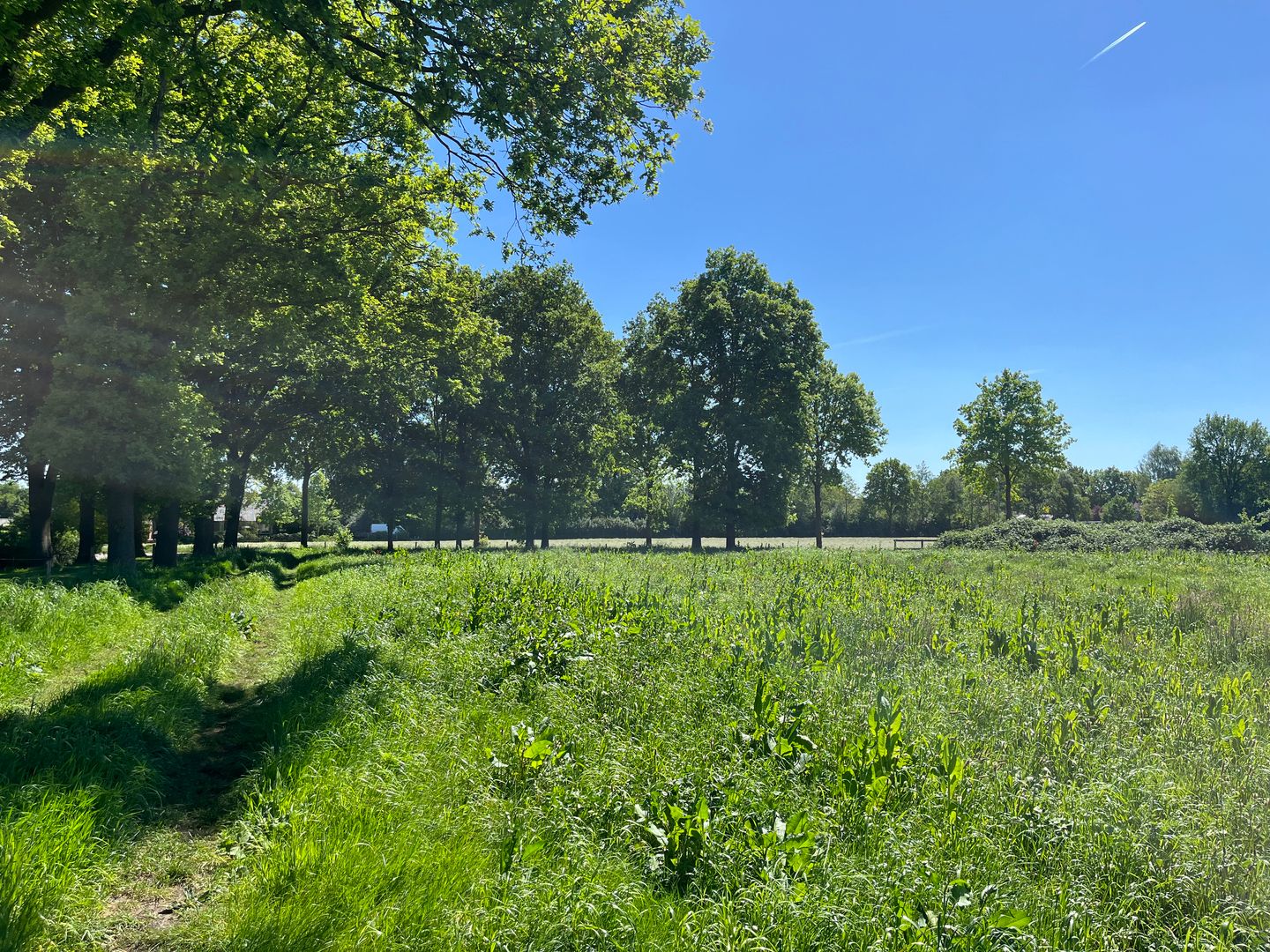 Foto 4 van Achteres kavel II