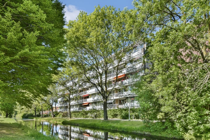 Laan van Ouderzorg 219