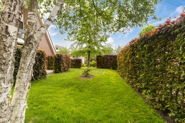 Foto 44 van Weegbree 2