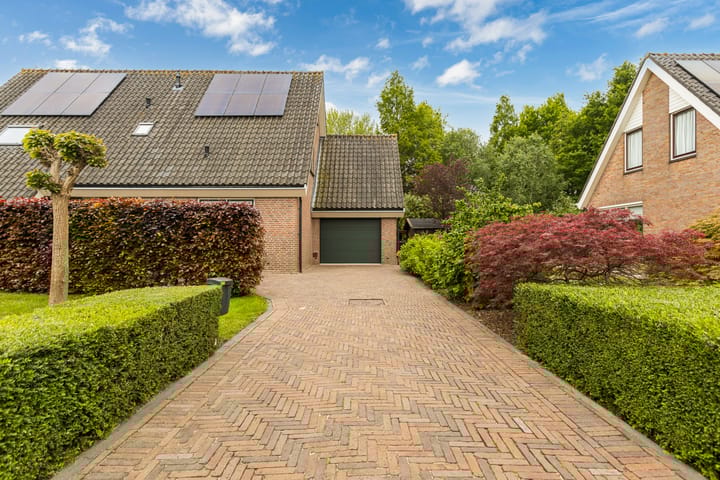 Foto 50 van Weegbree 2