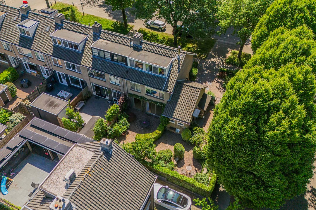 Foto 2 van Laan 1954 8