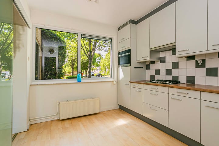 Foto 11 van Laan 1954 8