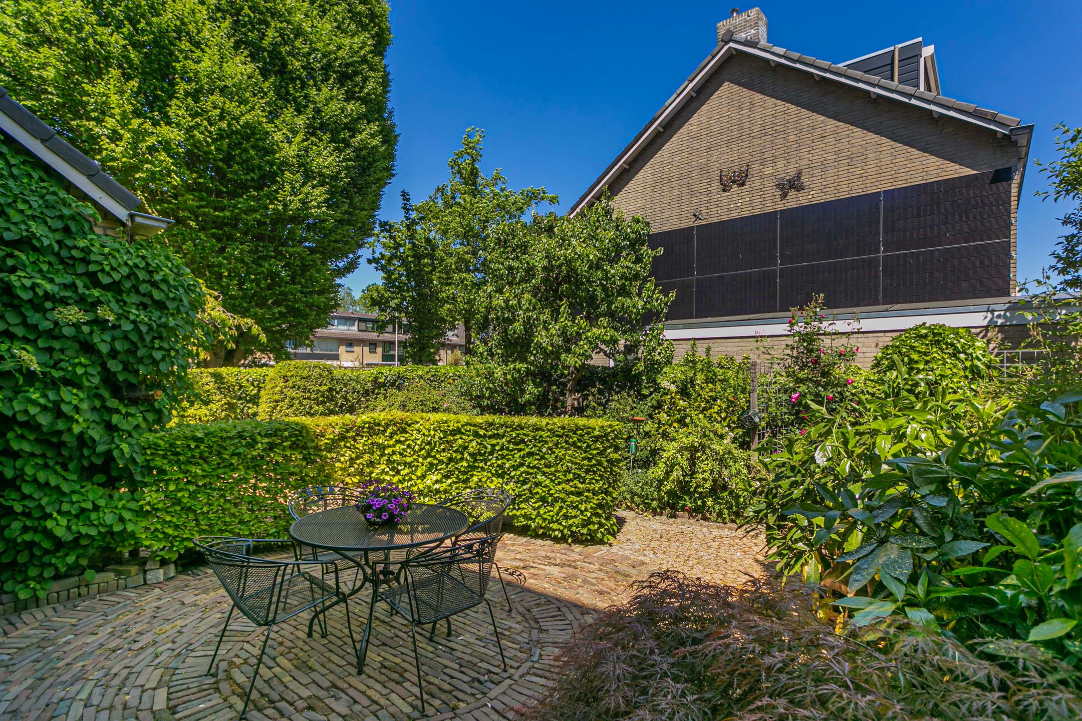 Foto 33 van Laan 1954 8