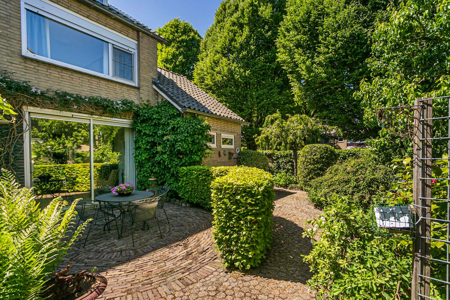 Foto 35 van Laan 1954 8