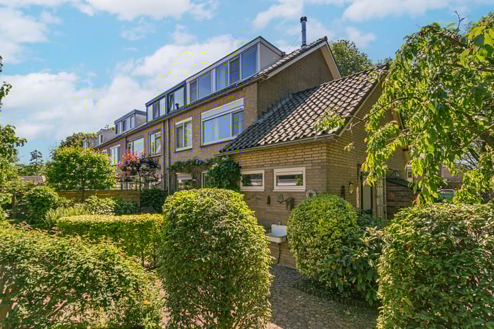 Foto 39 van Laan 1954 8