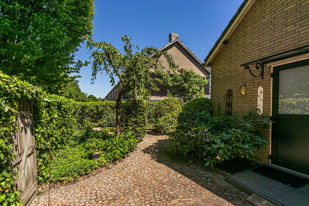 Foto 41 van Laan 1954 8