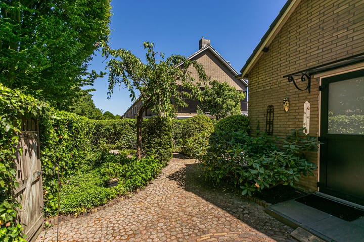 Foto 41 van Laan 1954 8