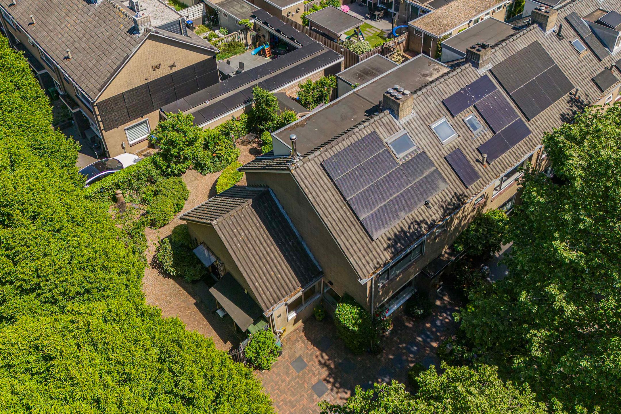 Foto 42 van Laan 1954 8