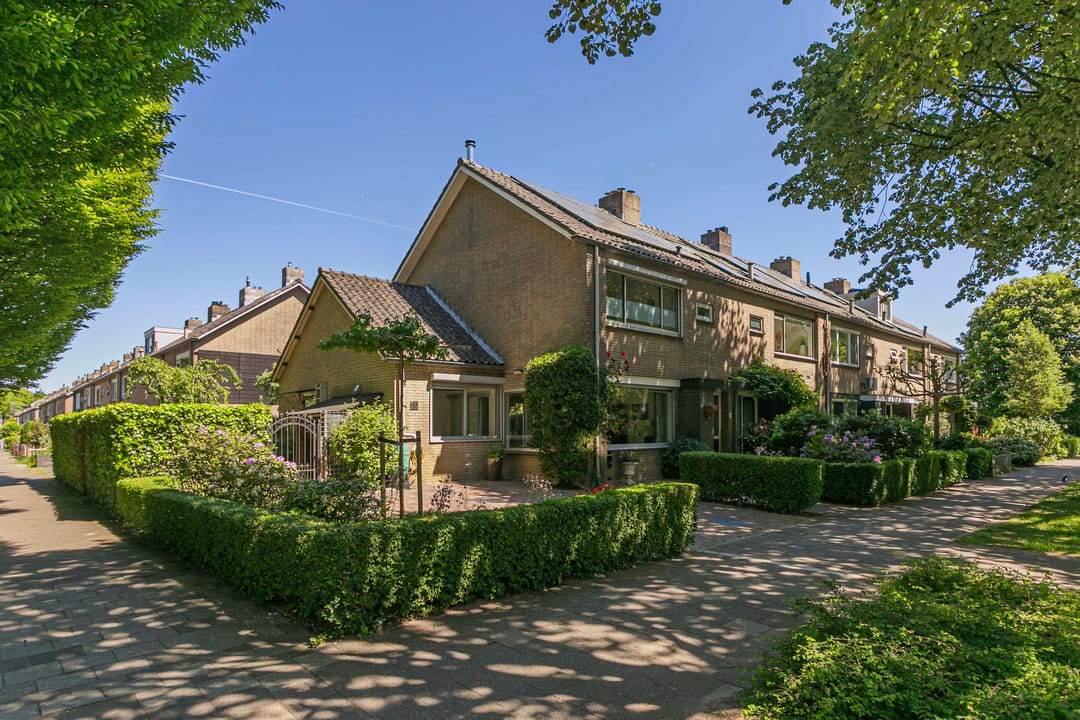 Foto 43 van Laan 1954 8