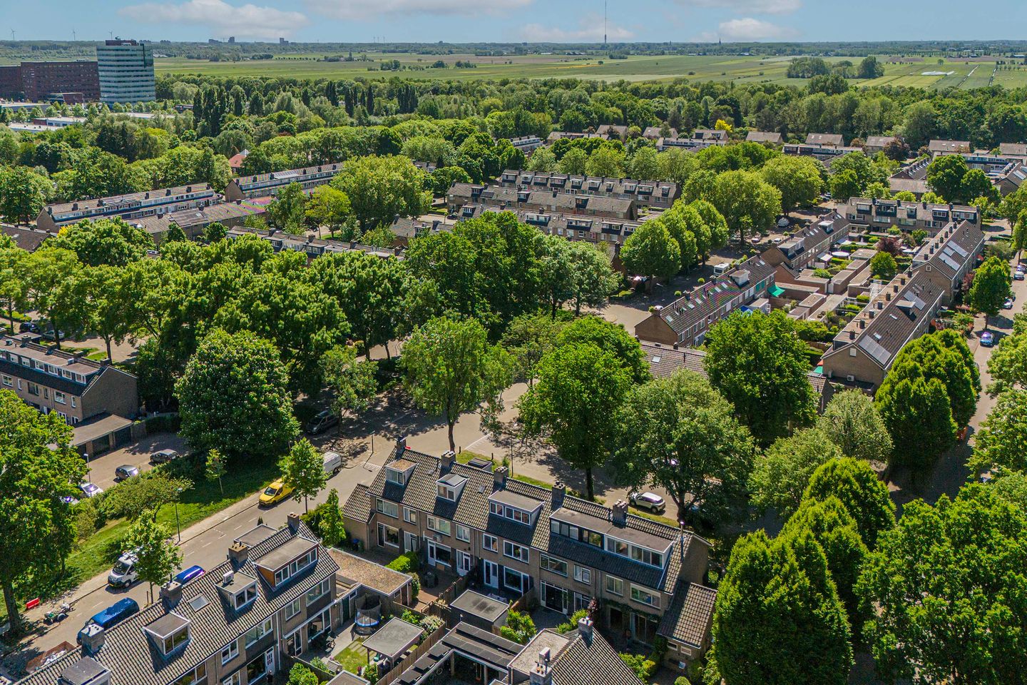 Foto 44 van Laan 1954 8