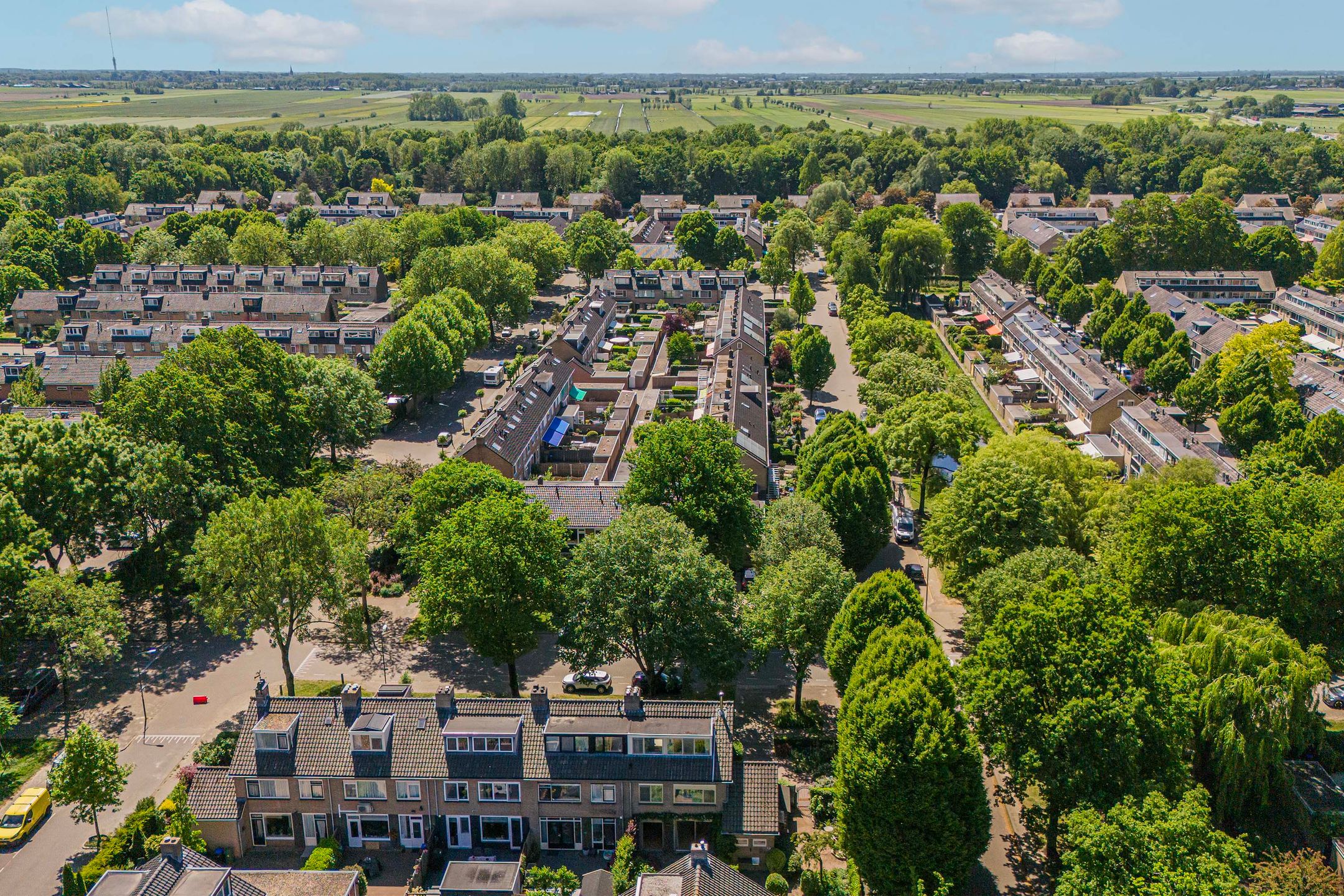 Foto 45 van Laan 1954 8