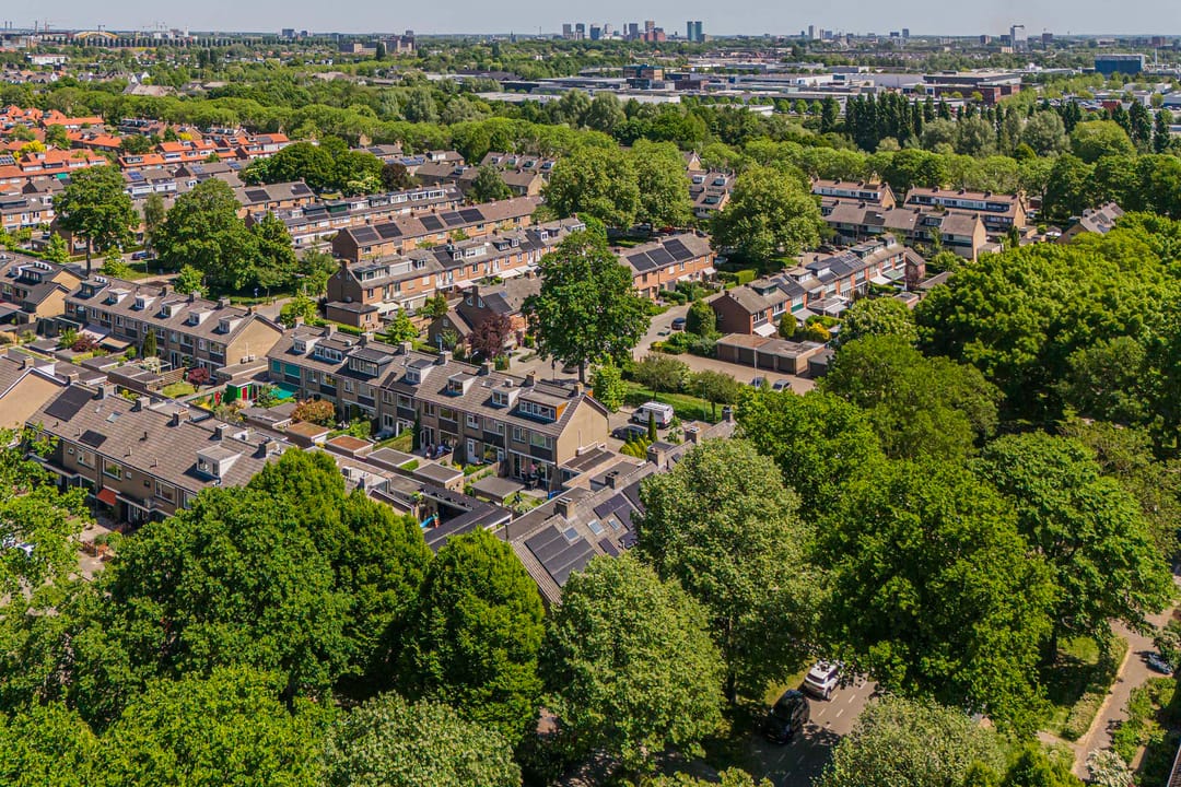 Foto 46 van Laan 1954 8