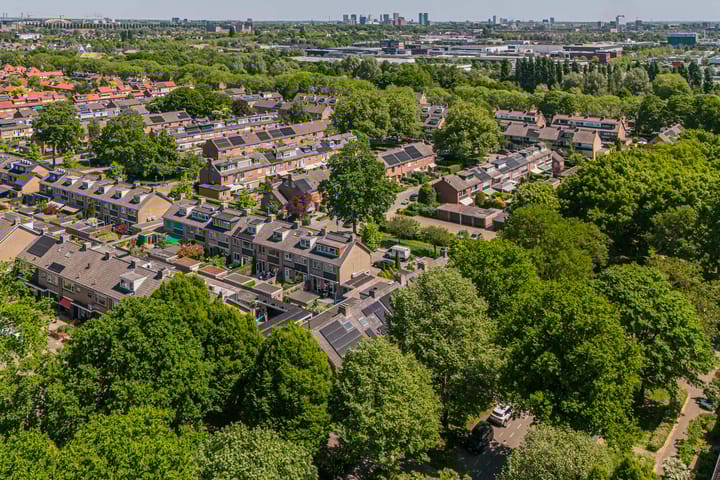 Foto 46 van Laan 1954 8