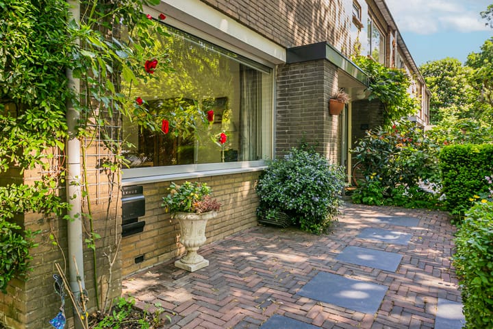 Foto 47 van Laan 1954 8