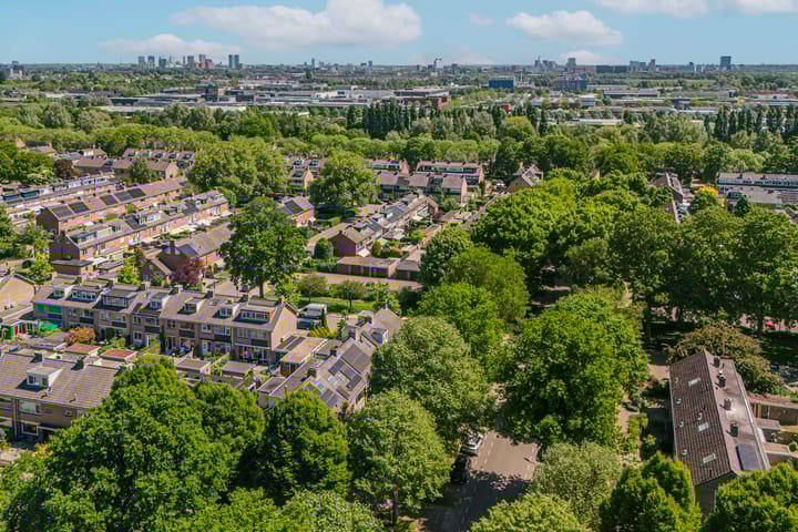 Foto 48 van Laan 1954 8