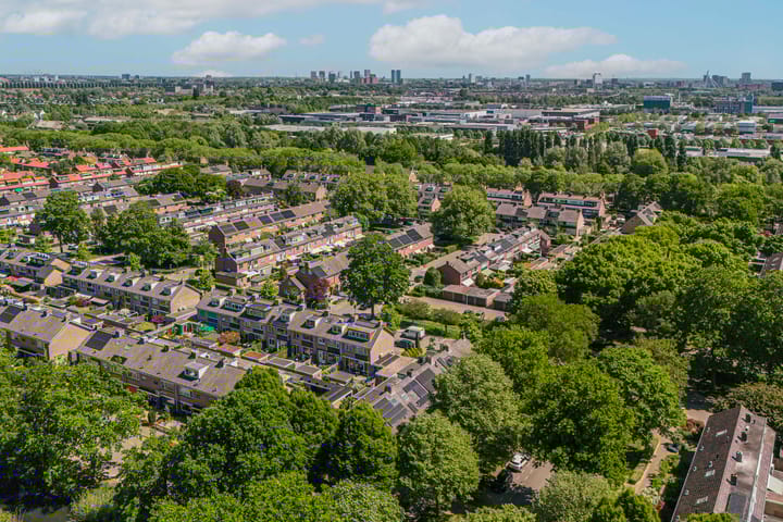 Foto 49 van Laan 1954 8