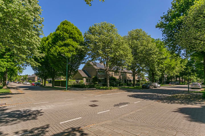 Foto 50 van Laan 1954 8