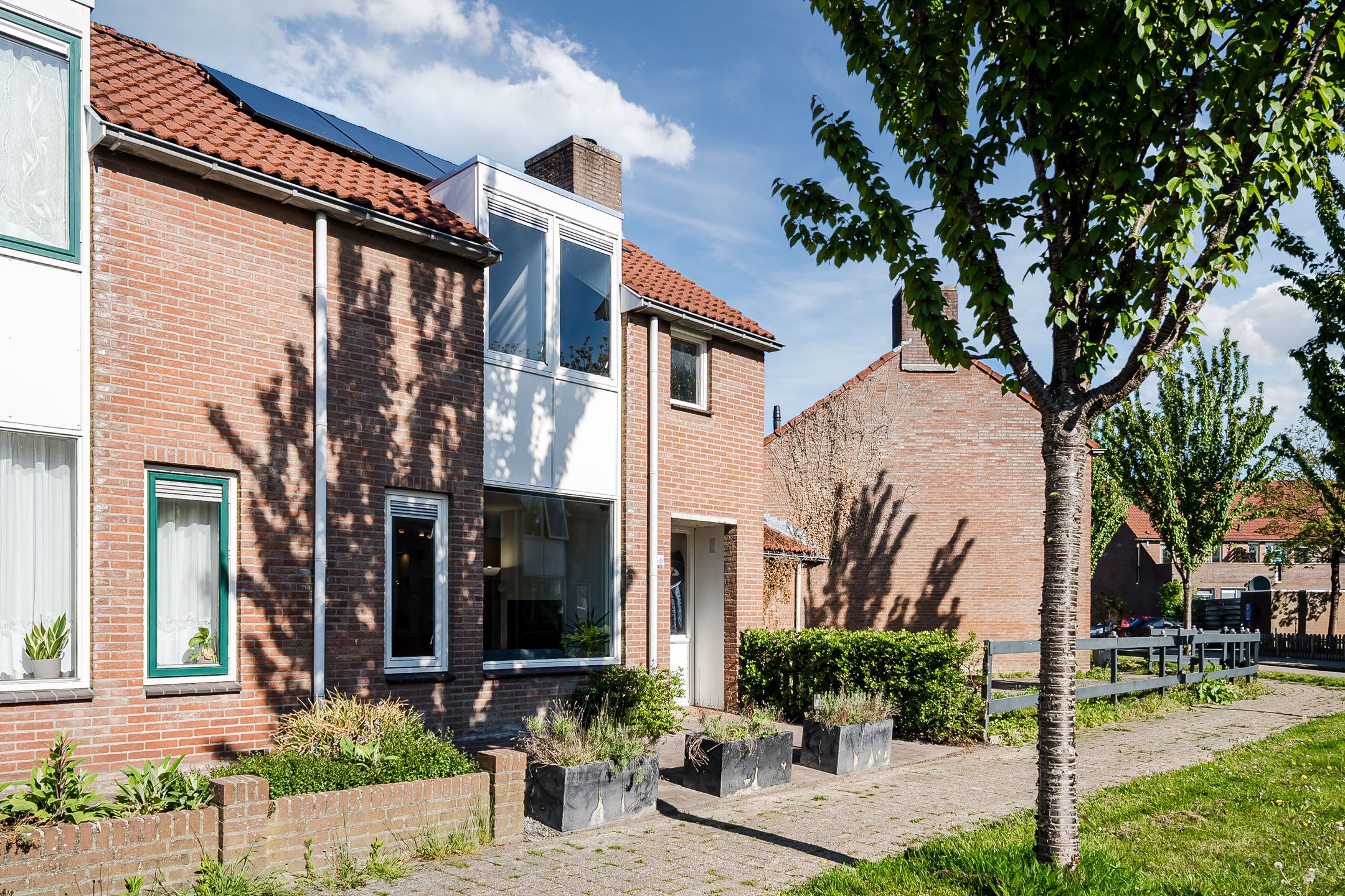 Foto 9 van Koolmees 56