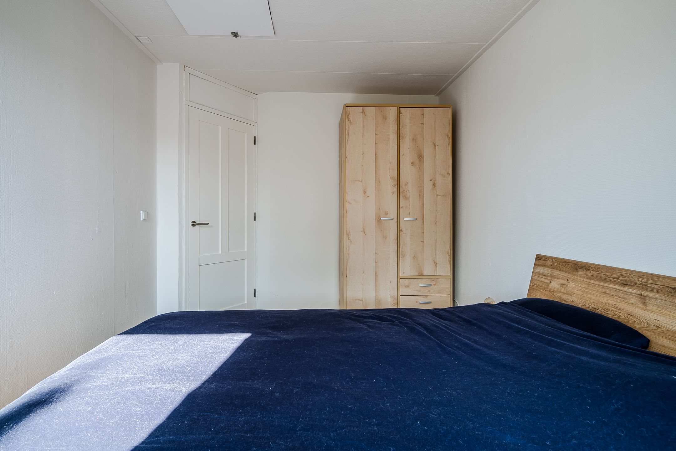 Foto 21 van Koolmees 56