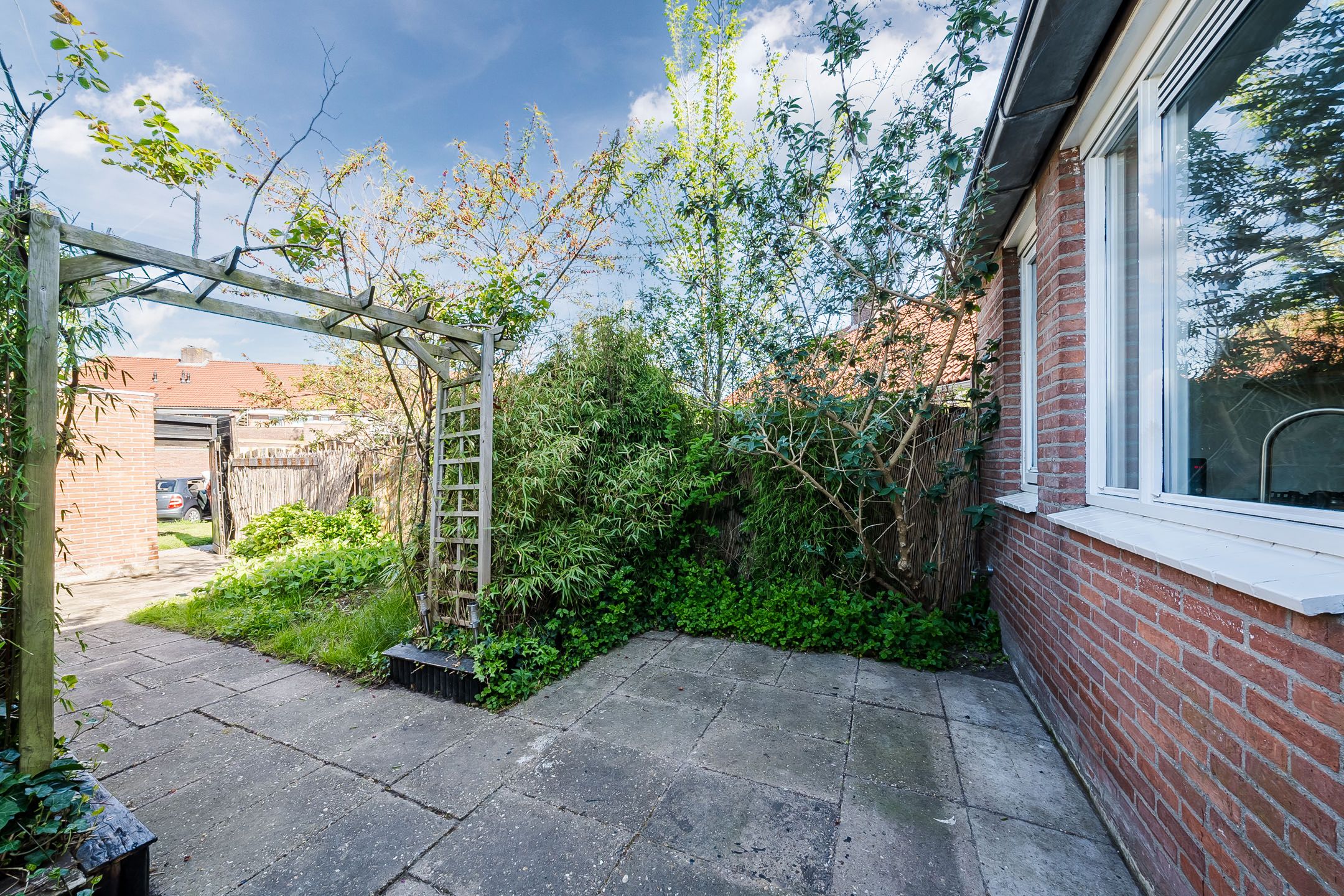 Foto 33 van Koolmees 56