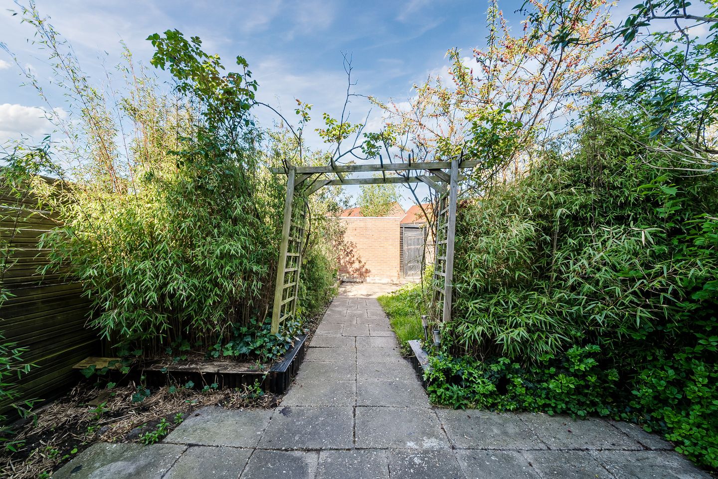 Foto 34 van Koolmees 56