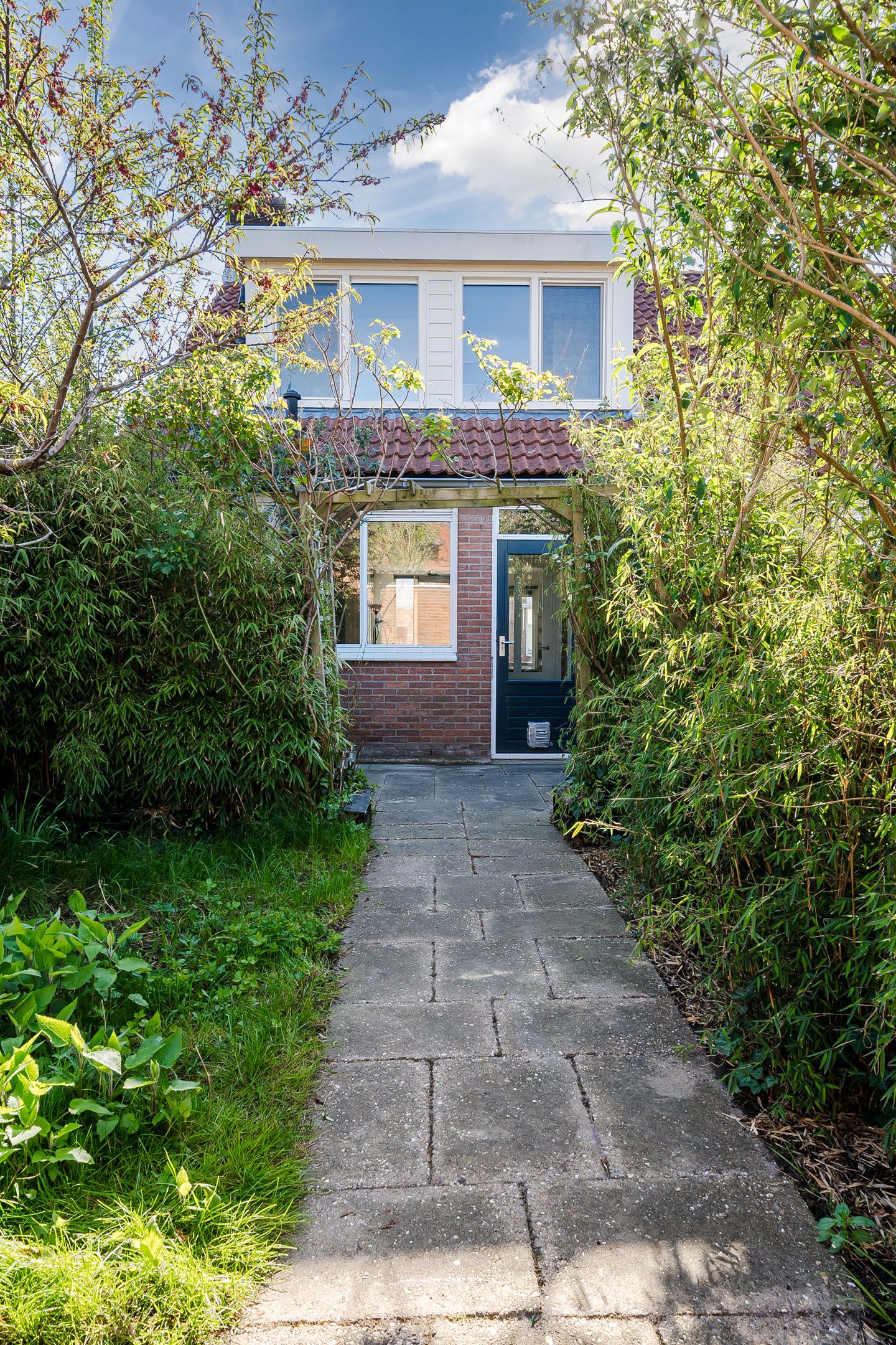 Foto 36 van Koolmees 56