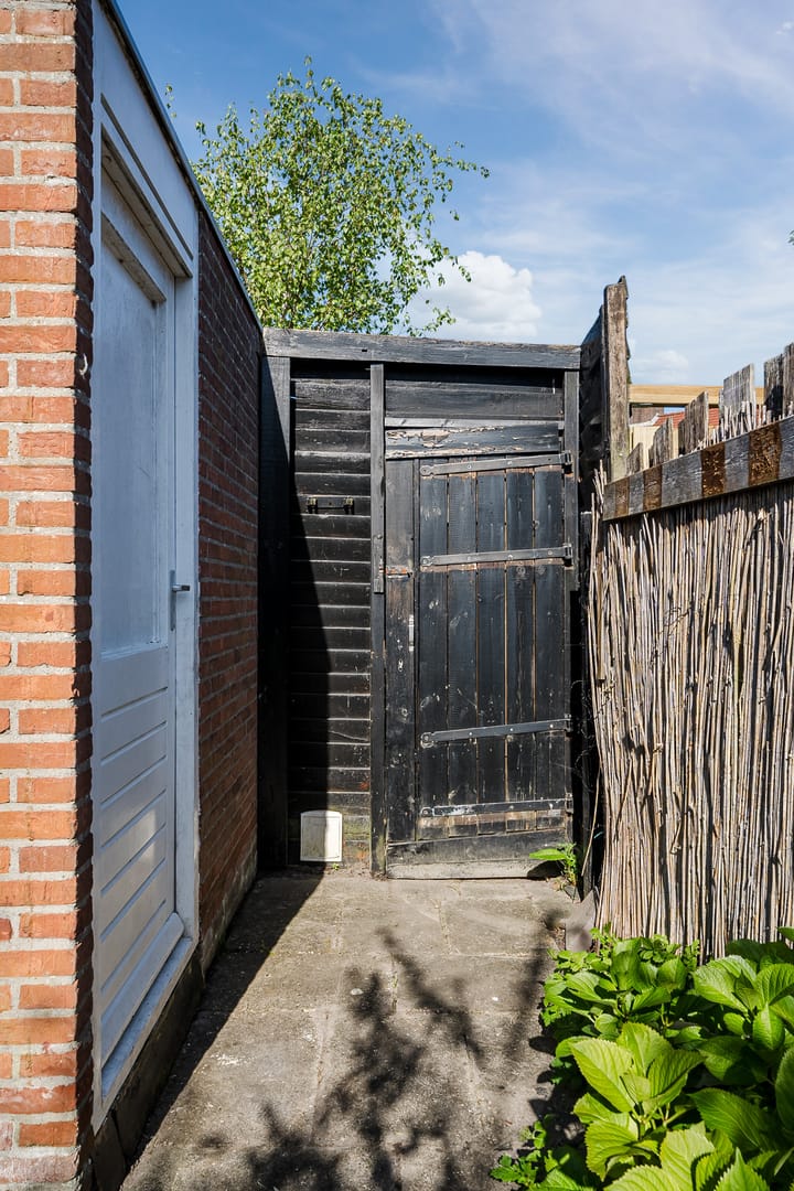 Foto 37 van Koolmees 56