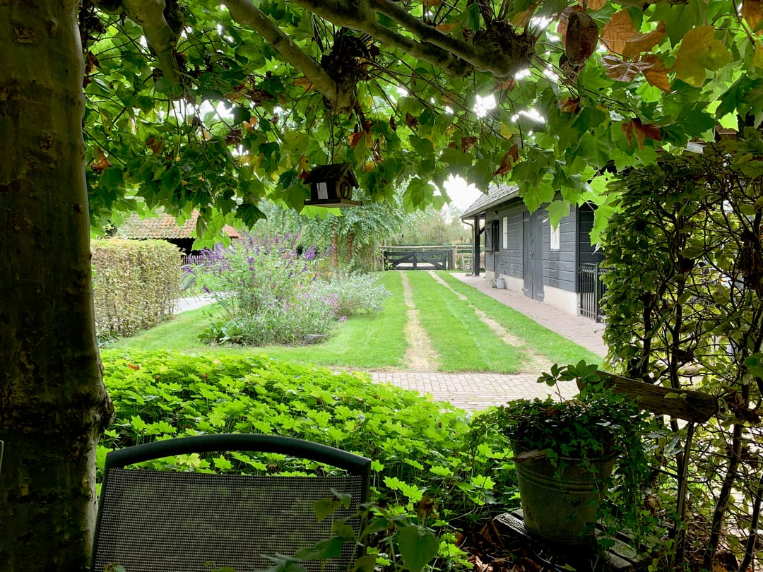 Foto 53 van Alphensebaan 4