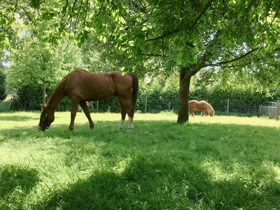 Foto 58 van Alphensebaan 4