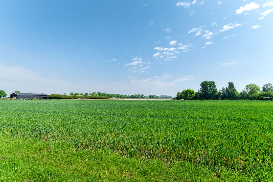 Foto 47 van Hanedreef 9