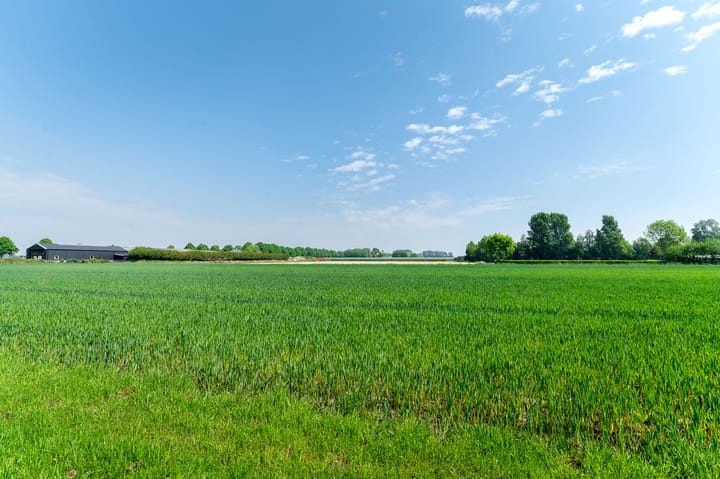 Foto 47 van Hanedreef 9