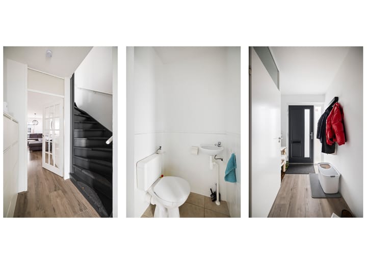 Foto 7 van Bosanemoon 8