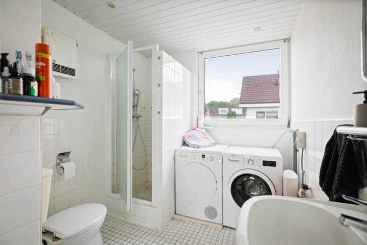 Foto 12 van Bosanemoon 8