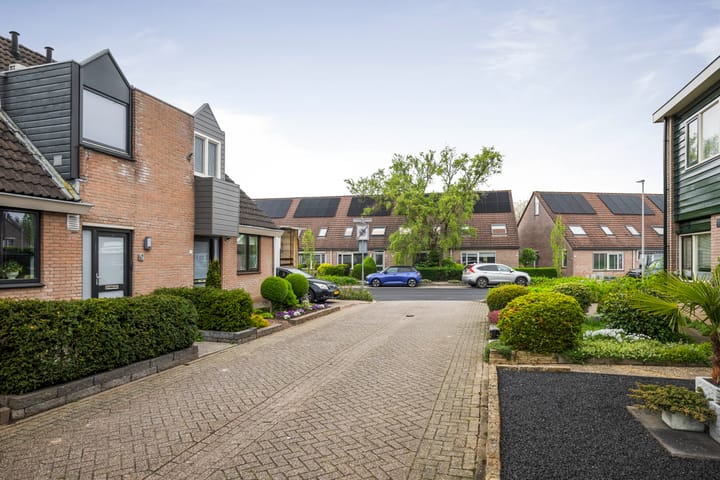 Foto 19 van Bosanemoon 8