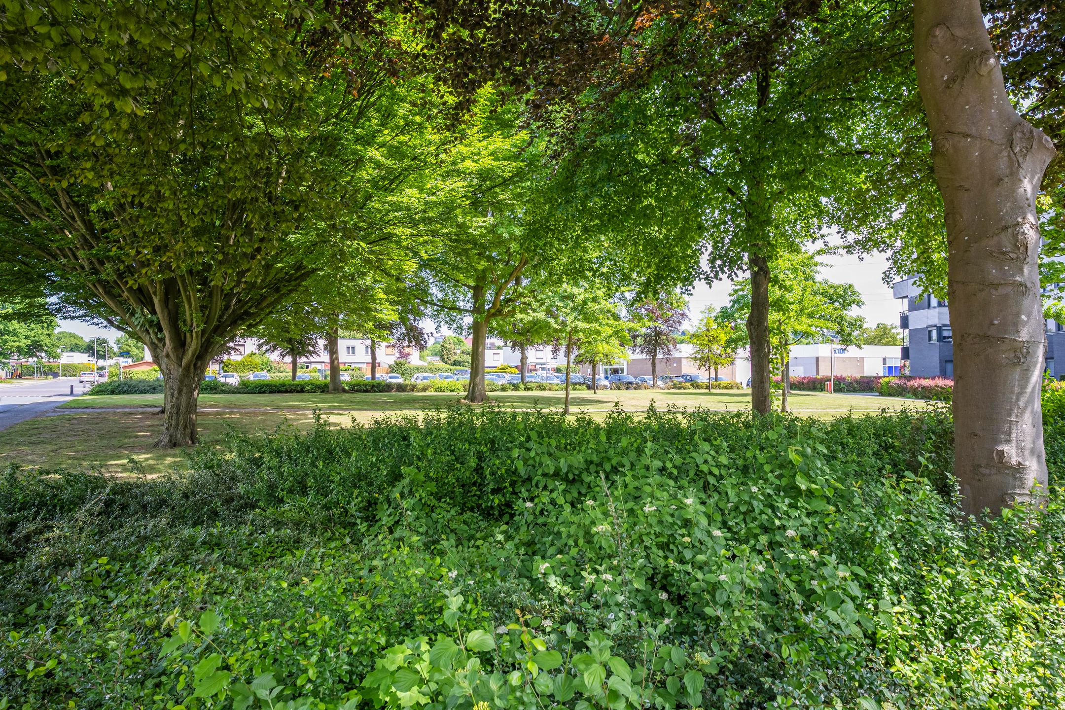 Foto 21 van Abeelstraat 9