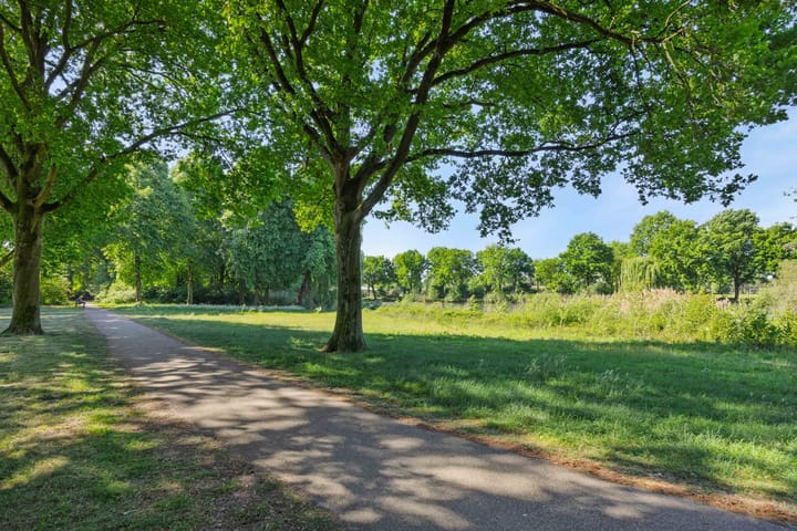 Foto 48 van Van der Duyn van Maasdamstraat 42