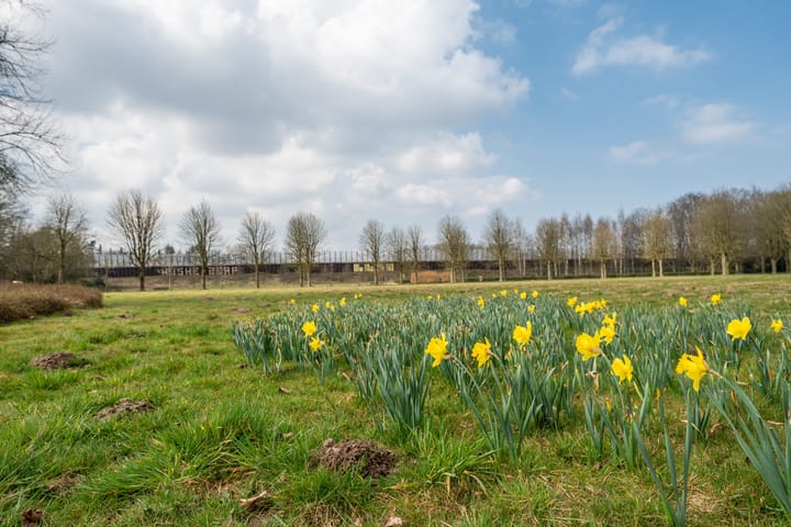 Foto 11 van Rodenburgweg 28